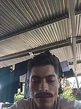 taylor_Stele