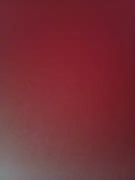 Saina_61
