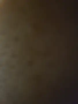 BiBi0089 webcam