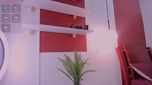 Nox_katana webcam