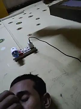 Desi_Fox1