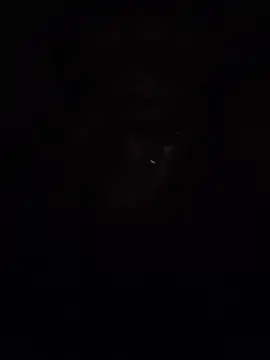 I am man intrested in women.（LookingForFemalePartner）