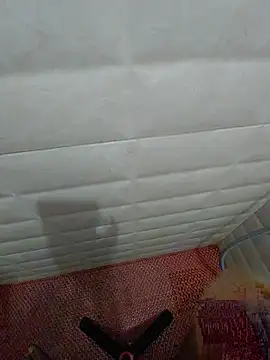 skynct1991 webcam
