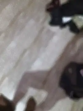 manikanda64