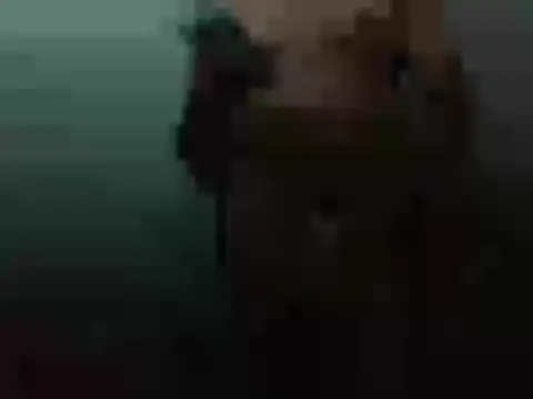 Desiboldmadan