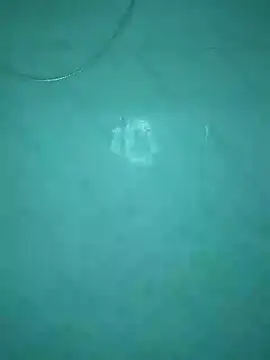 _Scorpion_