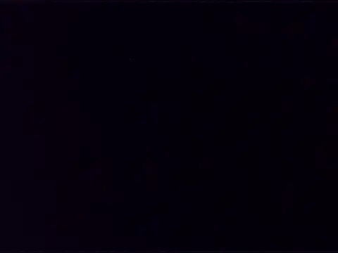 wild_saint