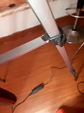 mistressaryfox webcam