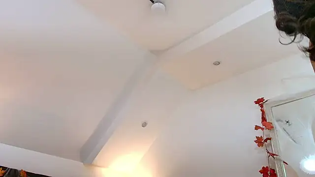VanesaValet