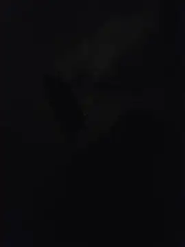 misterBigDick19