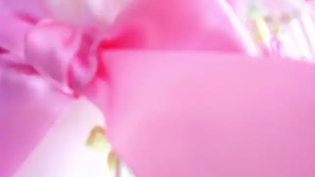 aroacandy_