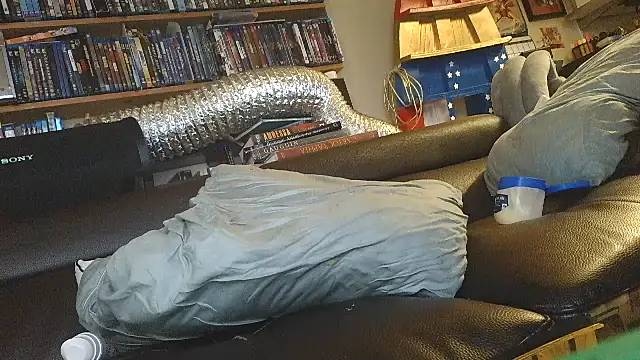 overmydadbody222