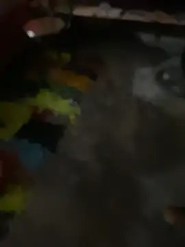 Morenita82