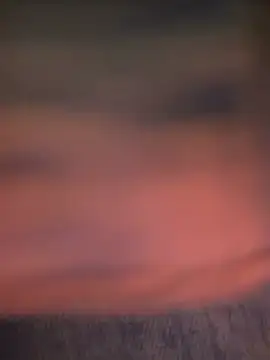 CocoaGigiMuse