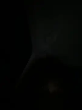 Loopsies