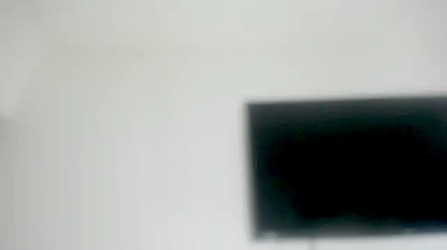 Fox_Loves