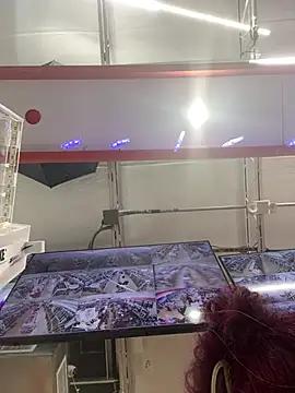 Loopsies