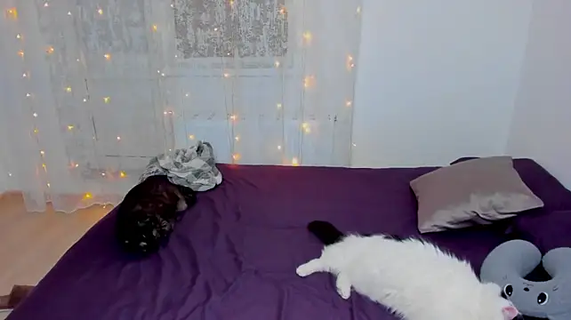 FieryHeart live cam on StripChat