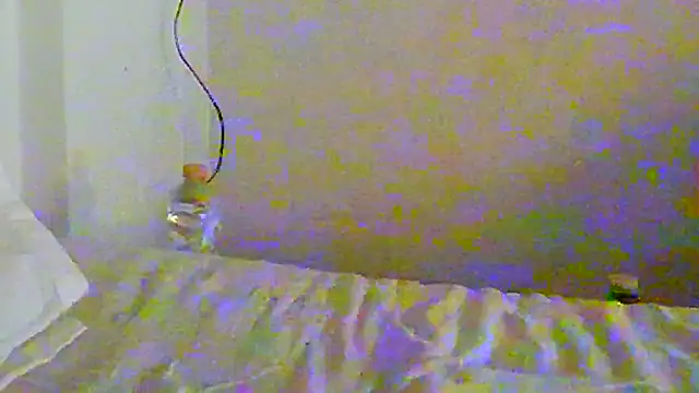 Renegade1608 on Stripchat