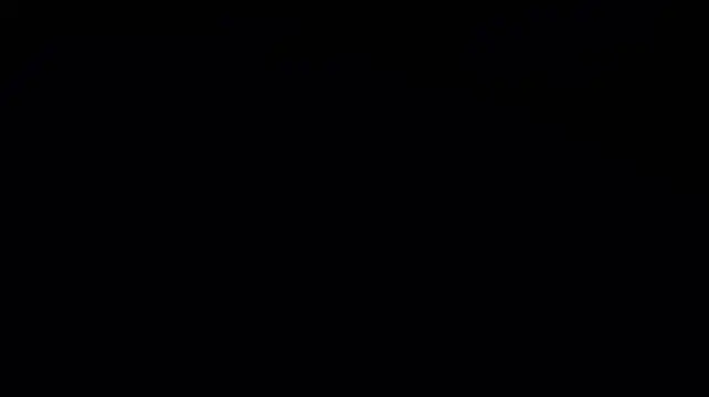 pecsblack888