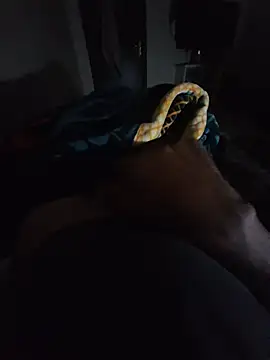 ELBOB77