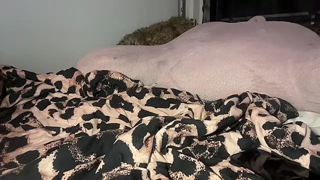 turntpixie