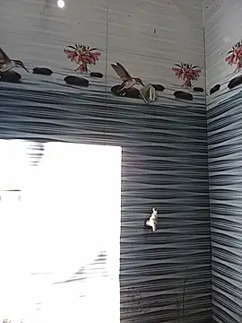 Hiptonos live cam