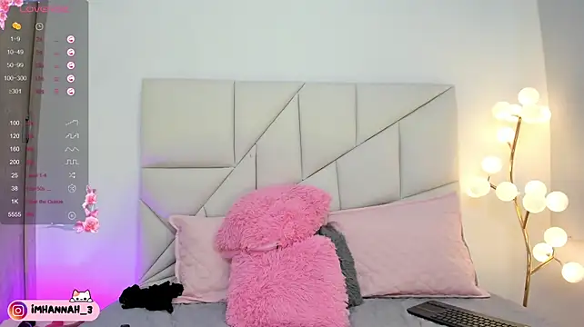 Imhann3 webcam