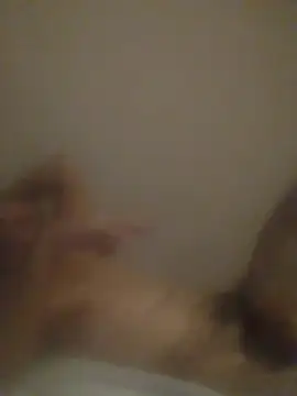 cobrosdepagos live cam on StripChat