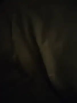 Derdicke19x5 live cam on StripChat