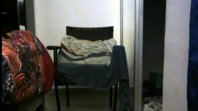 3LEGSSS