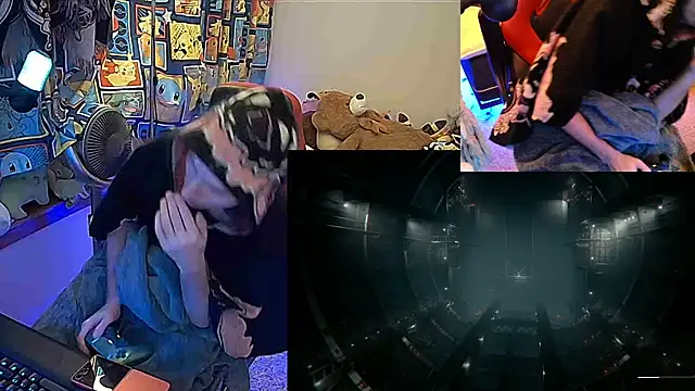 MrFrizby6211 webcam