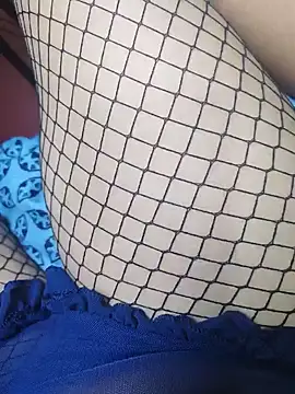FansBRISA