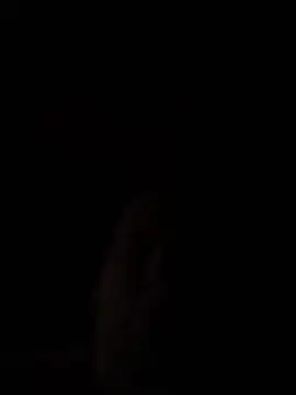 Laurynas2024