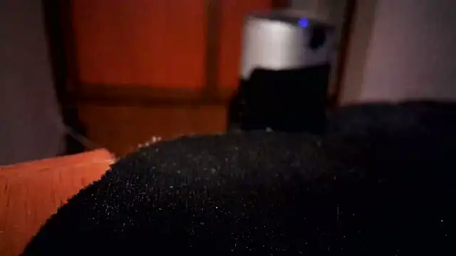 AnnyelinnaLove