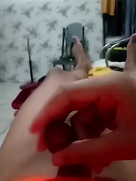 Faelpauzudo13