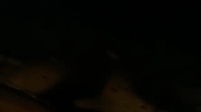 MrBigDickGooner
