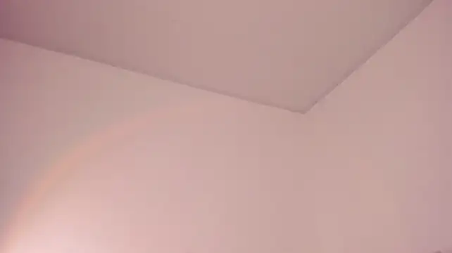 karodu webcam