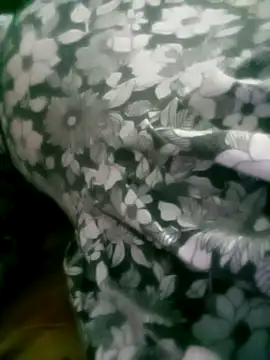 Sali_-jija webcam