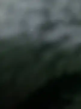 negroperv15