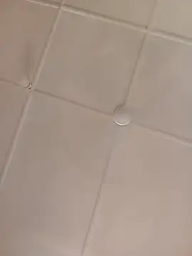 Sexy_pussy8
