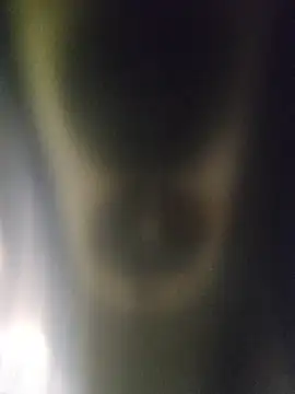 misterBigDick19 live cam on StripChat