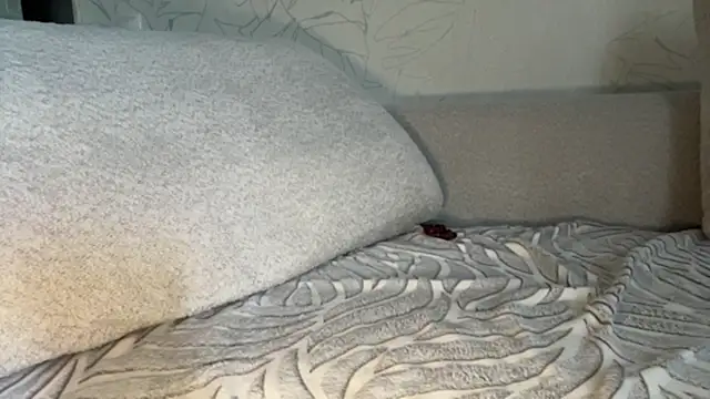 KailaGarofolo live cam on StripChat