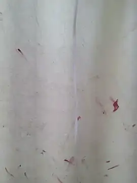Cute_Kavya7