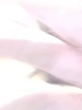 Romeo0885 webcam