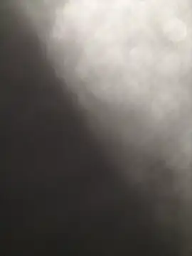 TekErkek43