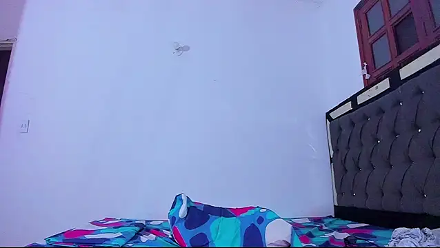 zeus_eddy