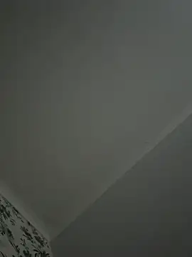 Big8inchUncutCock