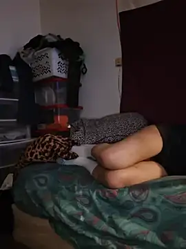 bimexpoexist