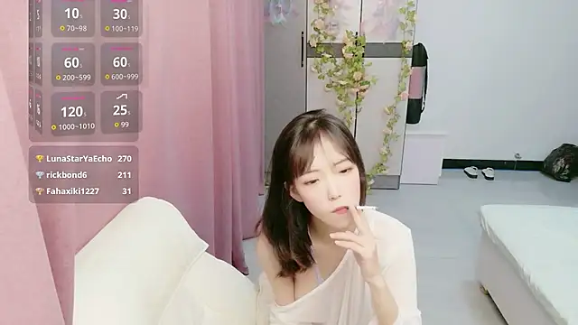 LovelyDianDian webcam